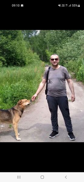  ,   , 44 ,  