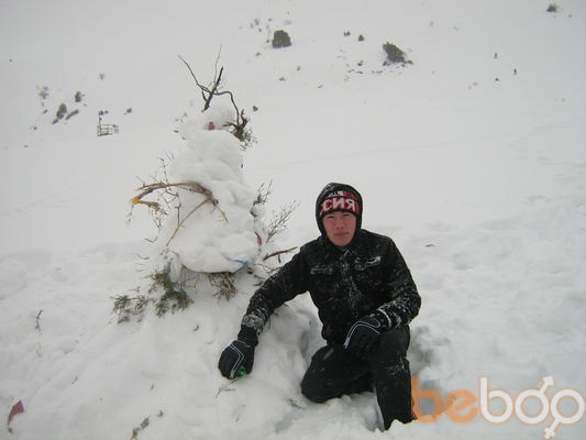  ,   Rabbit, 34 ,   