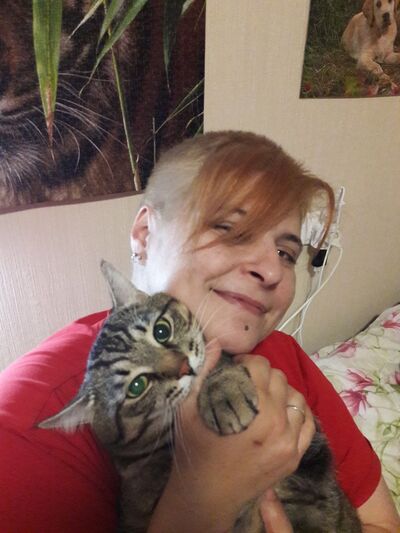  ,   , 44 ,   ,   , c , 
