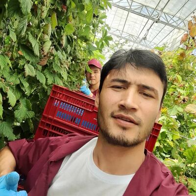  ,   Sherzod, 25 ,   ,   