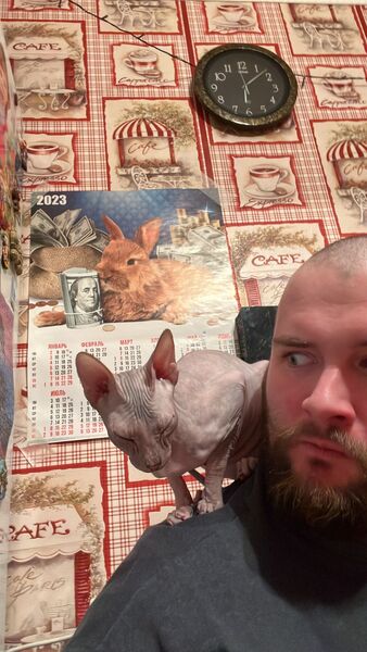  ,   , 29 ,   c 