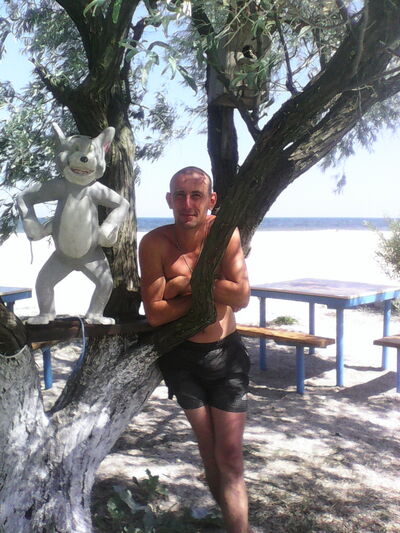  ,   , 40 ,  