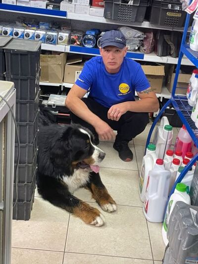  ,   , 43 ,   ,   , c , 