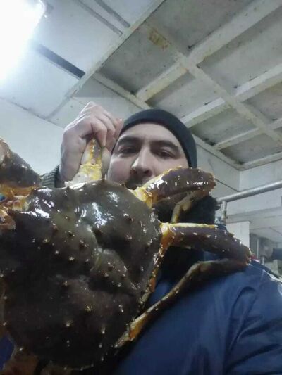 ,   Serdar, 43 ,   ,   