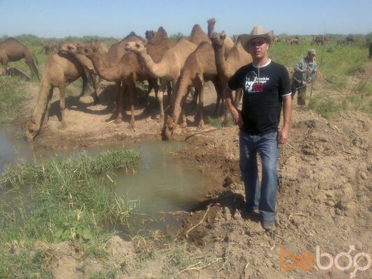  ,   Merdan_tejen, 44 ,     , c , 