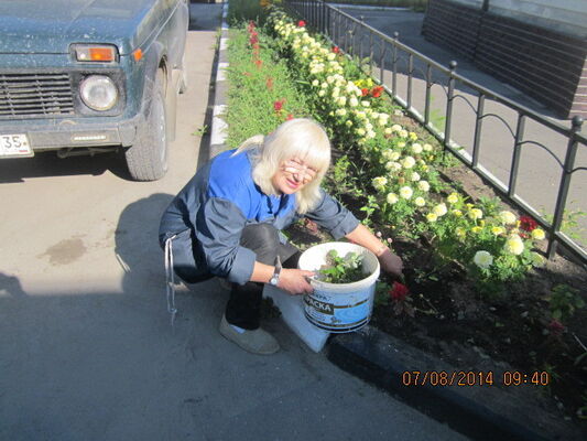  ,   , 68 ,   ,   , c 