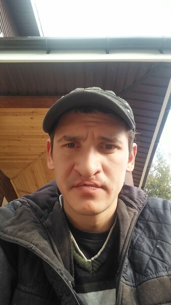  -,   , 37 ,   ,   , c 