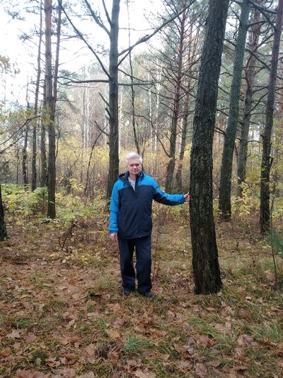  -,   , 62 ,   ,   , c , 