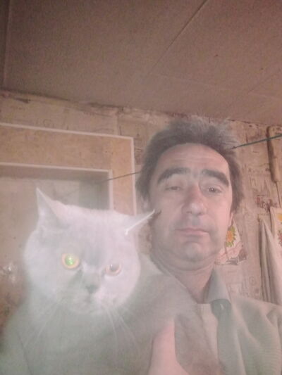  ,   , 49 ,   ,   