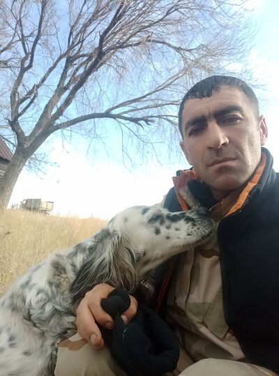  ,   Maqs, 40 ,   ,   