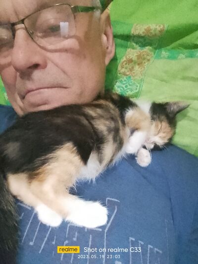  Kleinwarasdorf,   Mymba, 64 ,   ,   , c 