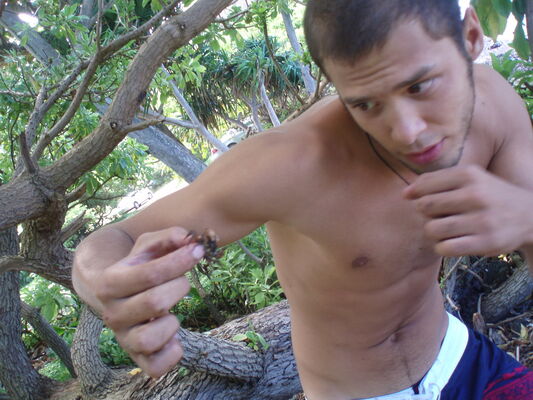  ,   Maks, 32 ,   ,   , c , 