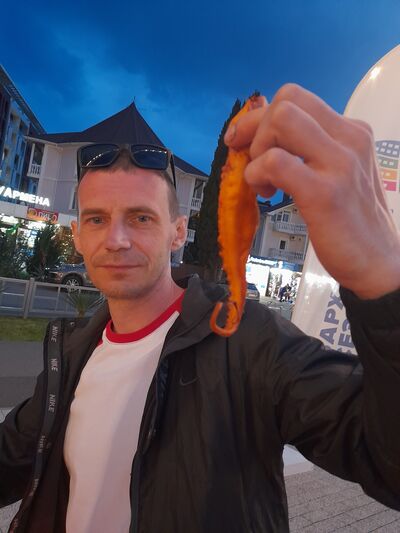  ,   , 43 ,   ,   