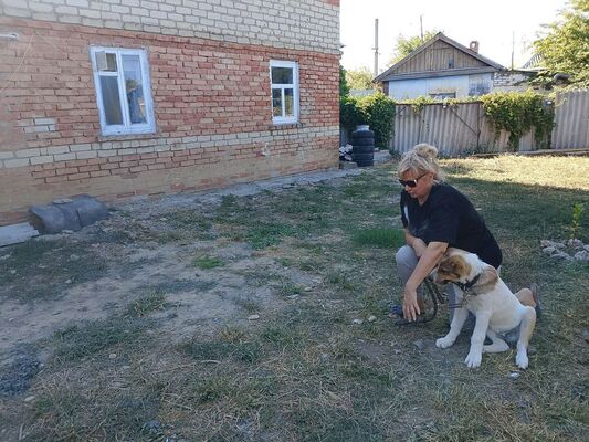  --,   , 56 ,   ,   , 