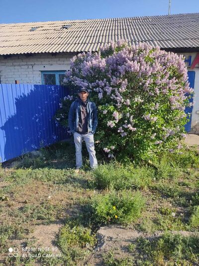  ,   Dauren, 33 ,   ,   