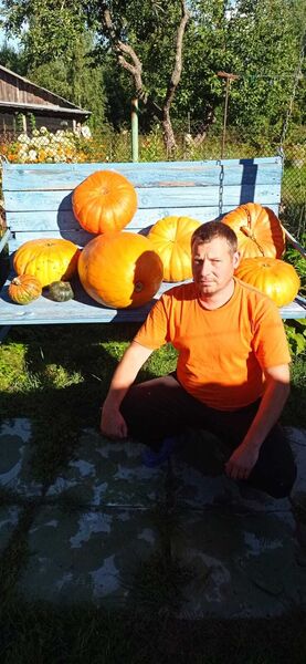  -,   , 45 ,   ,   