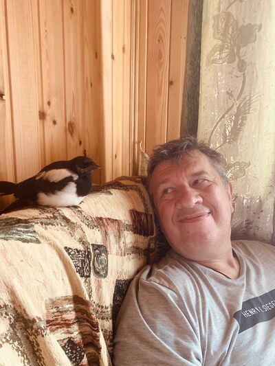  ,   , 56 ,   ,   