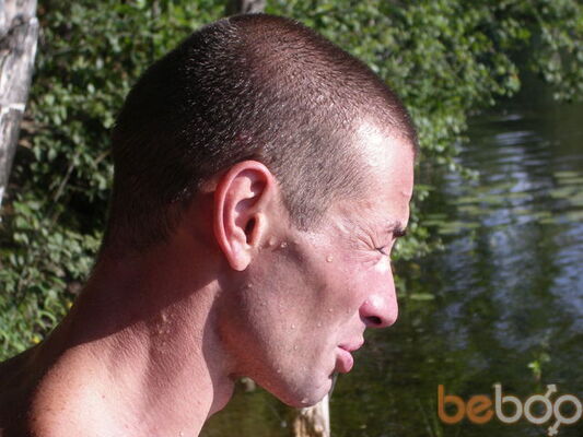  -,   Toxwox, 40 ,   