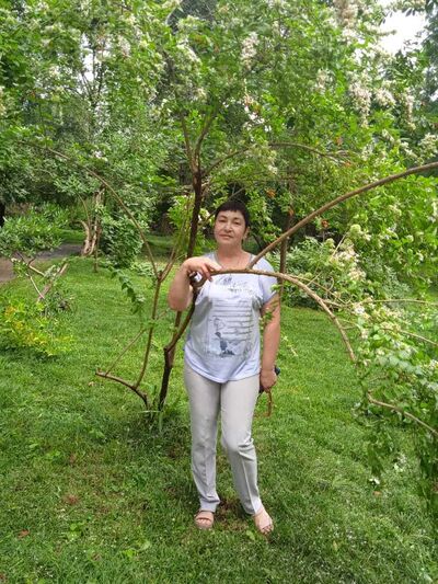  ,   , 61 ,   ,   , c 