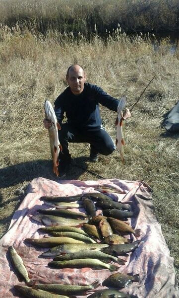  ,   , 54 ,     , c , 