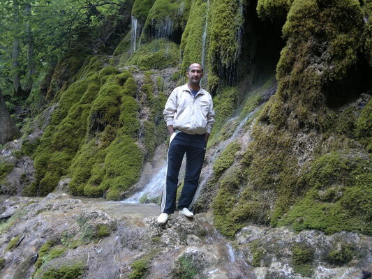  ,   Zoxrab, 54 ,   