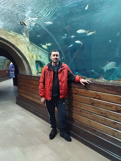  ,   , 41 ,   , 