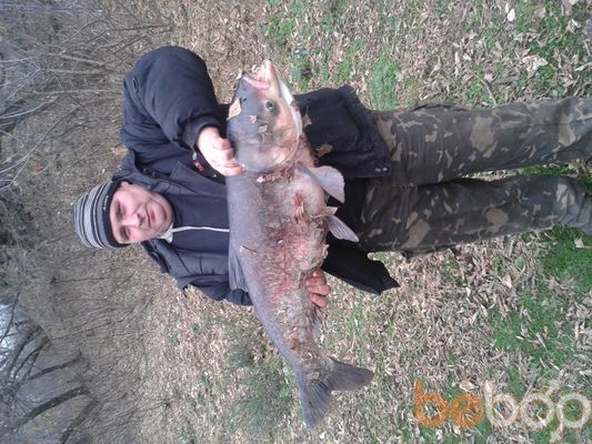 ���������� ����, ���� ������� �����, 44 ����, ������������ ��� ������