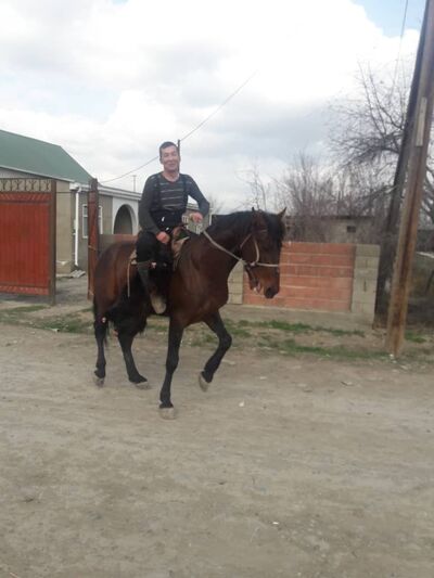  ,   Azamat, 36 ,   ,   , c 