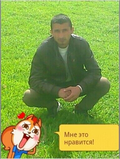  15056285  , 33 ,    