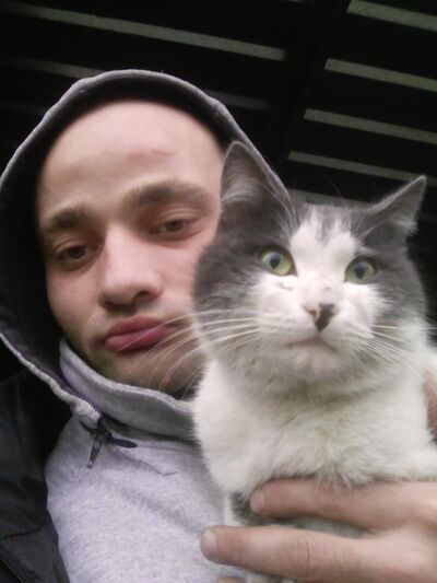  ,   , 38 ,   ,   , c , 