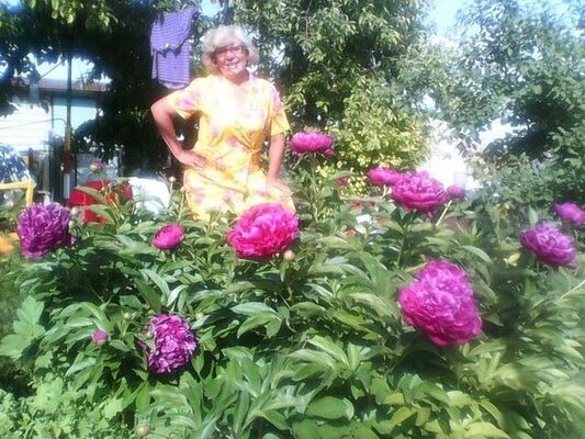 ,   Lusia, 55 ,   ,   