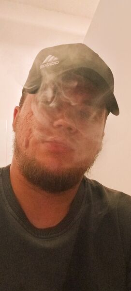  ,   , 29 ,     , 