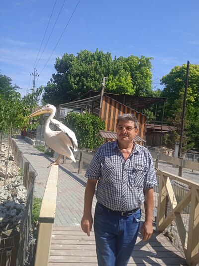  ,   , 63 ,   ,   , 