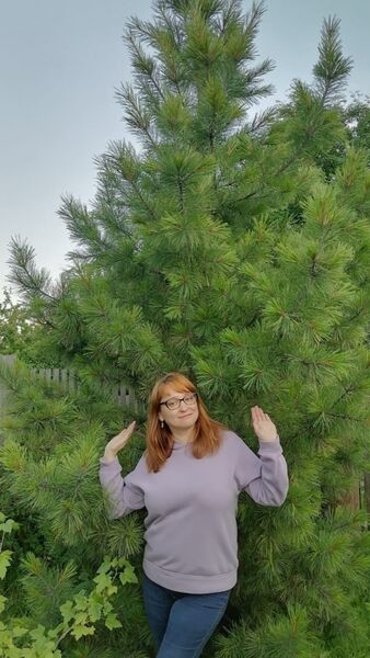  ,   , 46 ,   c 