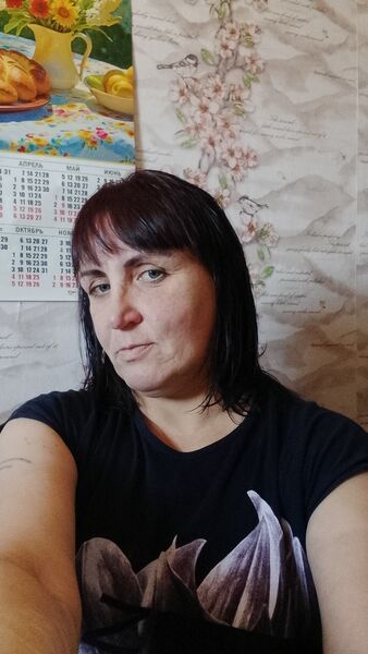  Novy,   , 41 ,   ,   