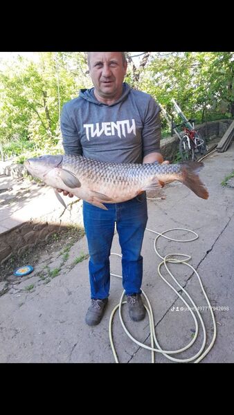  ,   , 48 ,   ,   
