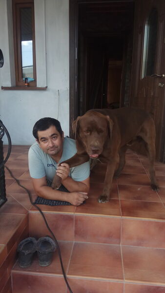  Bytow,   Vitu, 54 ,   ,   