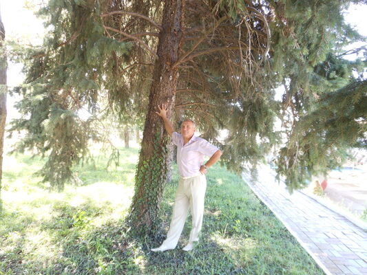  ,   , 60 ,   ,   , c 