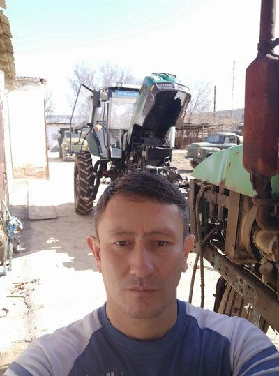  ,   , 44 ,  
