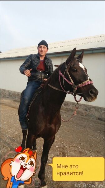  ,   Oybek, 29 ,   