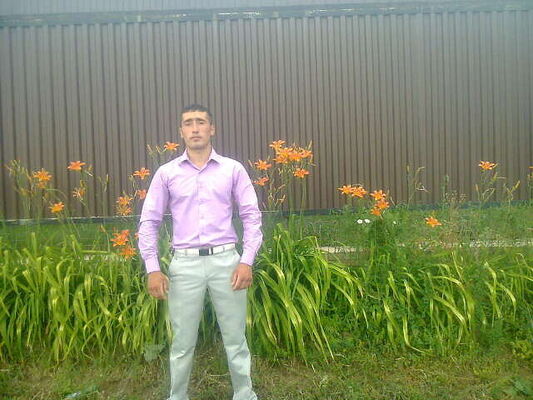  ,   , 33 ,  