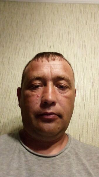  --,   , 42 ,   ,   