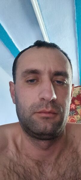  ,   Dims, 36 ,   ,   