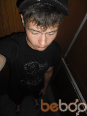  ,   Fish, 33 ,   