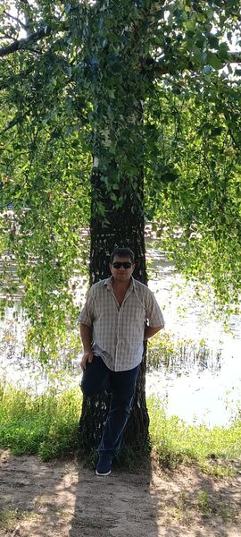  ,   , 52 ,   ,   