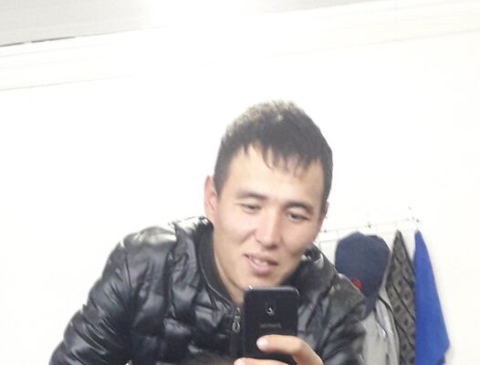  -,   , 37 ,  