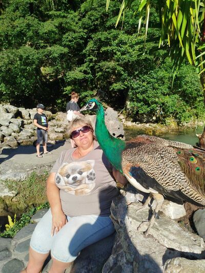  ,   , 59 ,   c 
