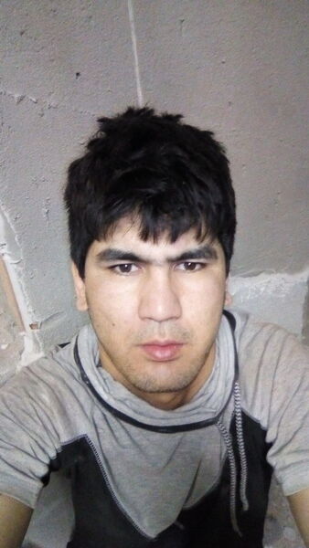  ,   Dimo, 28 ,   ,   , c 