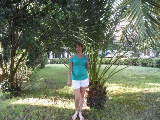  ,   , 60 ,     , c 