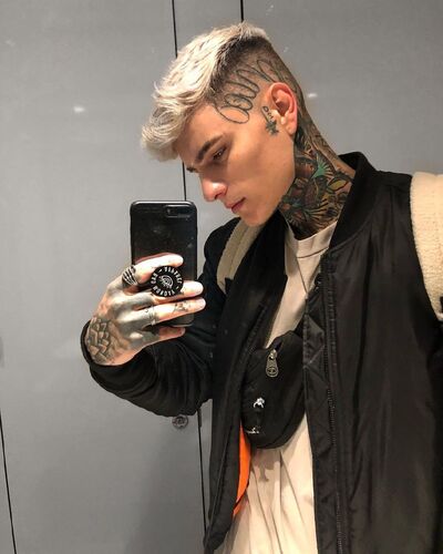  Lobito,   , 31 ,   